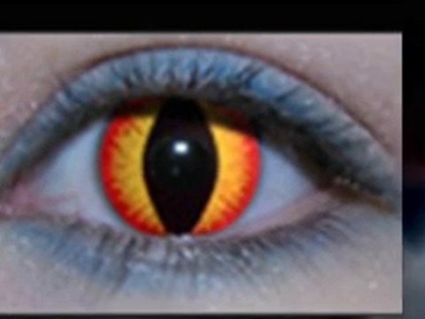 Wild Colored Contacts