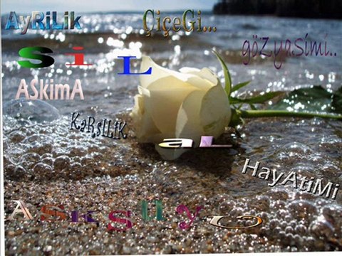 Sİbel Can - Ayrılık şarkısı