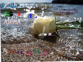 Sİbel Can - Ayrılık şarkısı