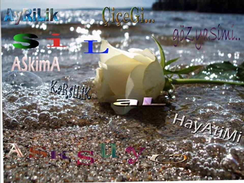 Sİbel Can - Ayrılık şarkısı