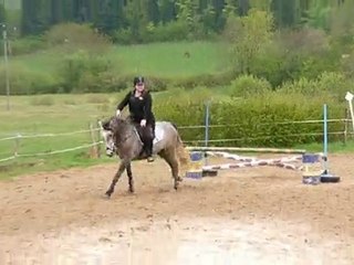 15-05-2010 ** Vidéo d'un saut de Virginie & Sirène