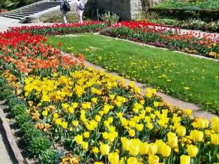 Nymfenburg i Ogród Botaniczny