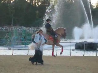 Spectacle équestre/Flamenco (Isla Mágica Sevilla)