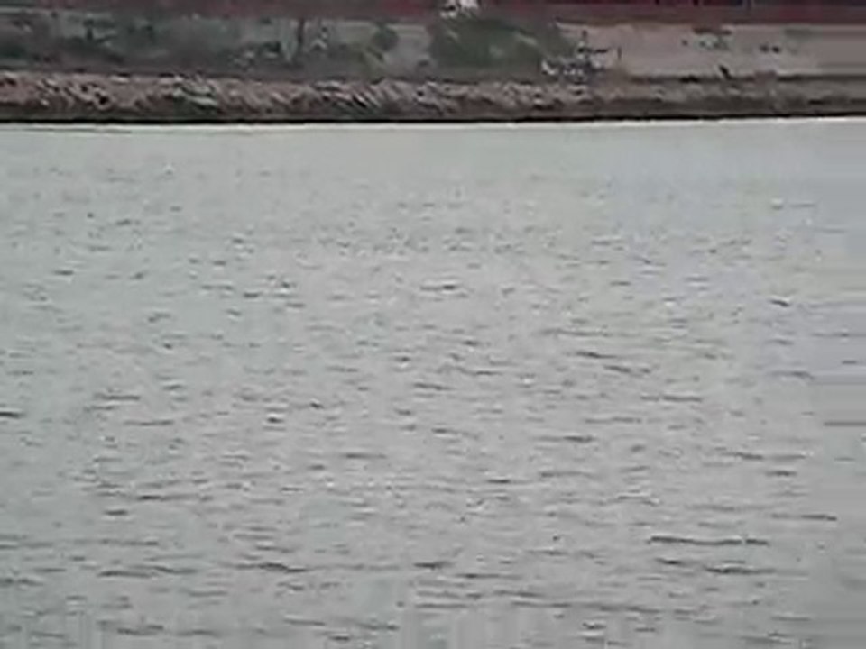 Yunuslar