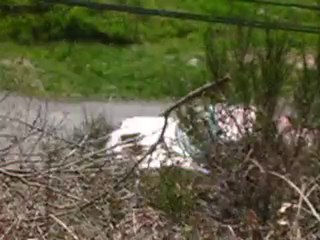 Course de Côte du Livradois Forez 2010