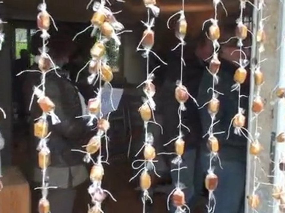 Les seins de glace 2010.mov