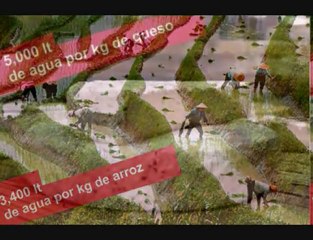 GSA La Huella Hidrica