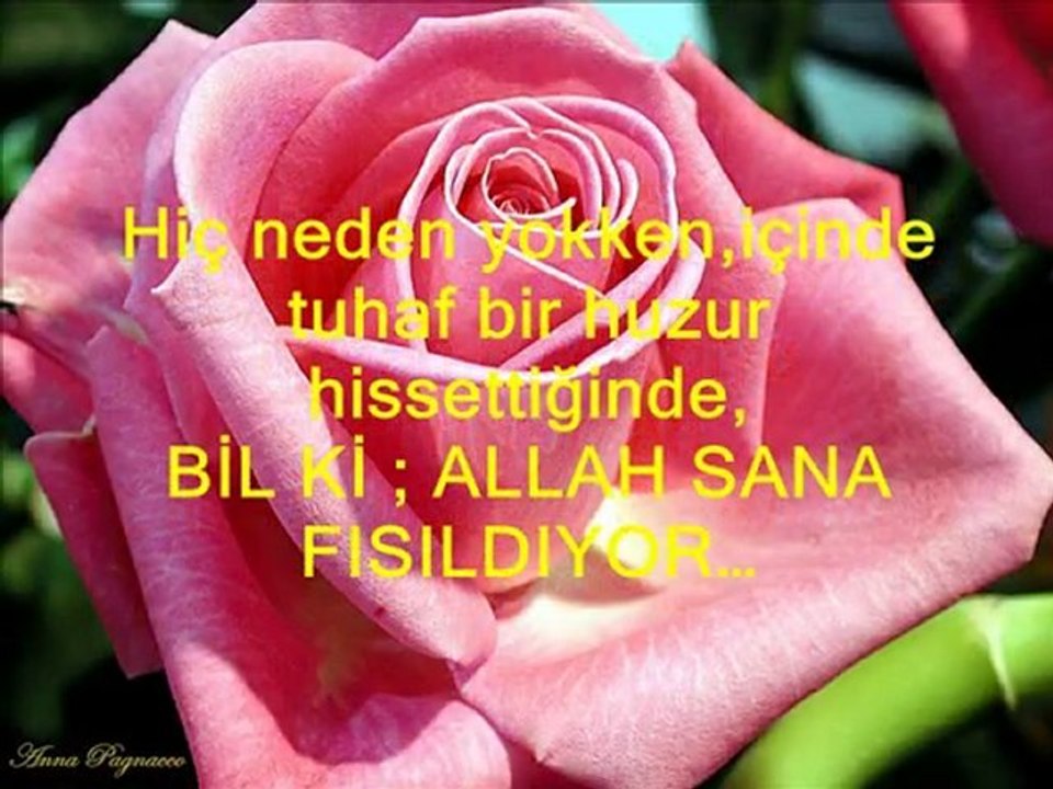ALLAH BİLİYOR