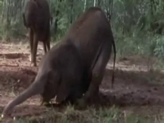 drogue la maroula attention danger