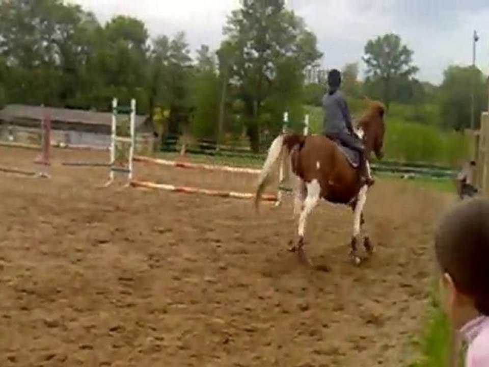 Lama saut