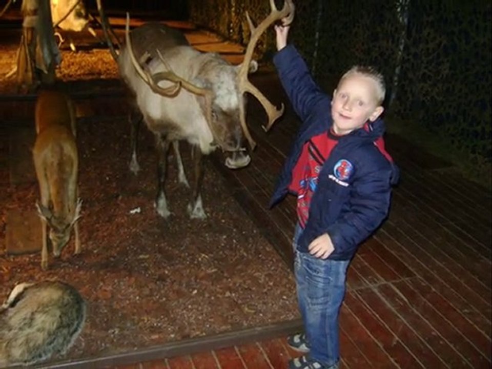 randy et les dino