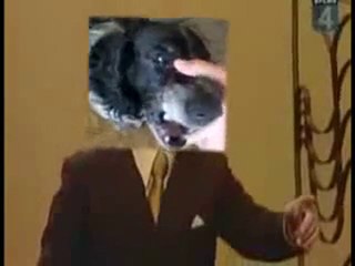 Beatbox Dog Sings Trololo