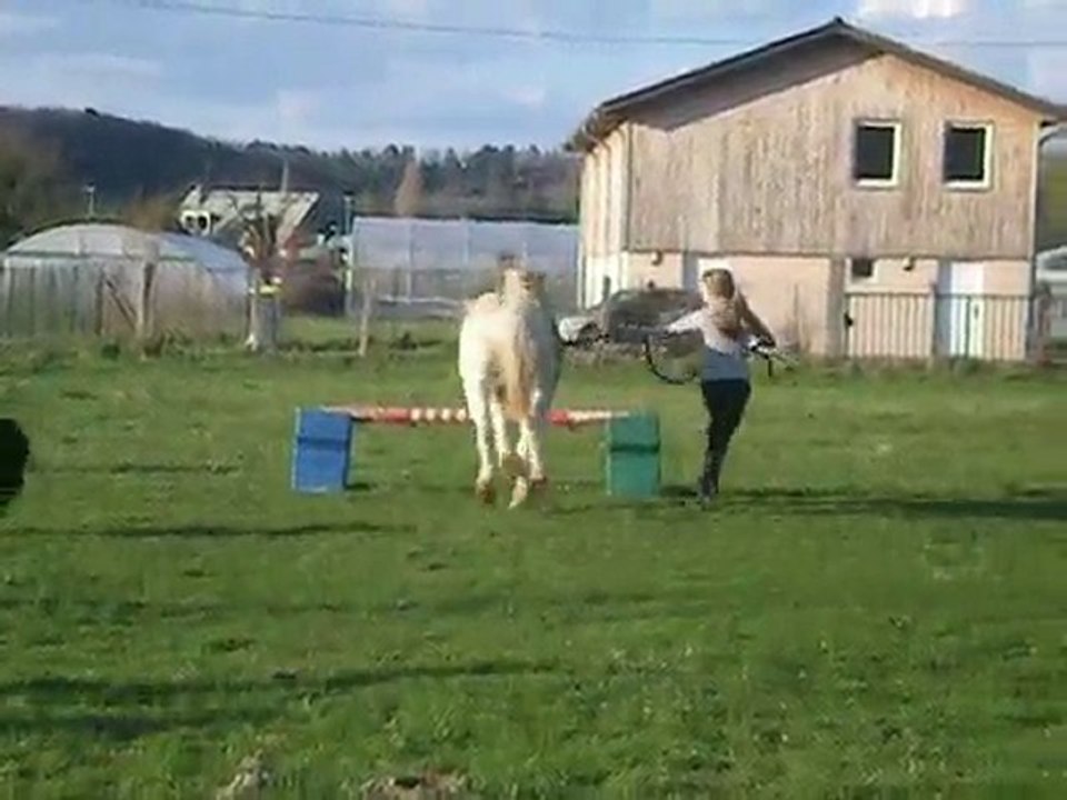 Dakota Qui Saute En Main Avec Océane !