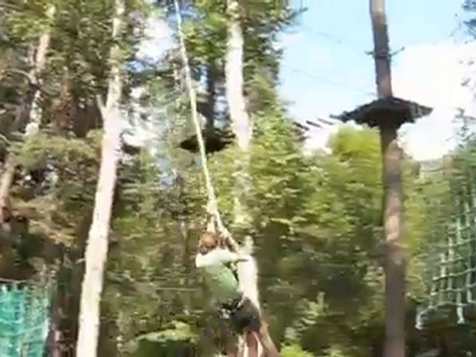 Tout là haut dans les arbres…