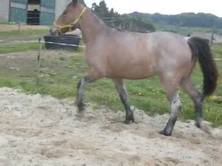Séance liberté usoa 15 05 2010 / 2