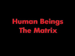 Human Beings-The Matrix