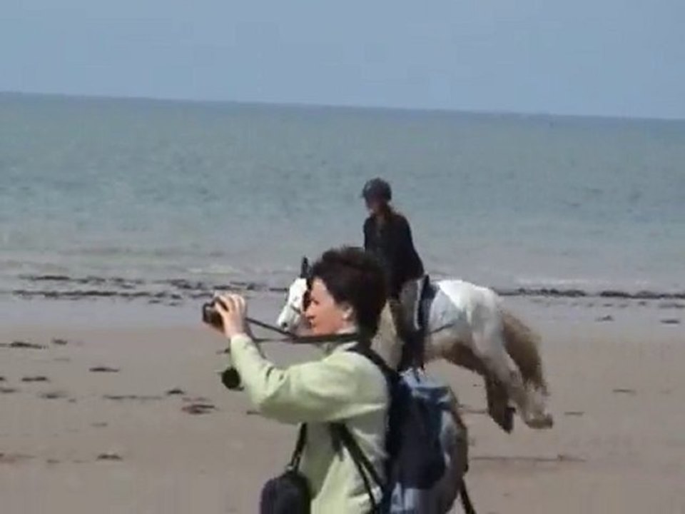 14 mai 2010 : galop à la plage