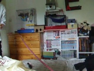 BLue et sa corde : troisième leçon !