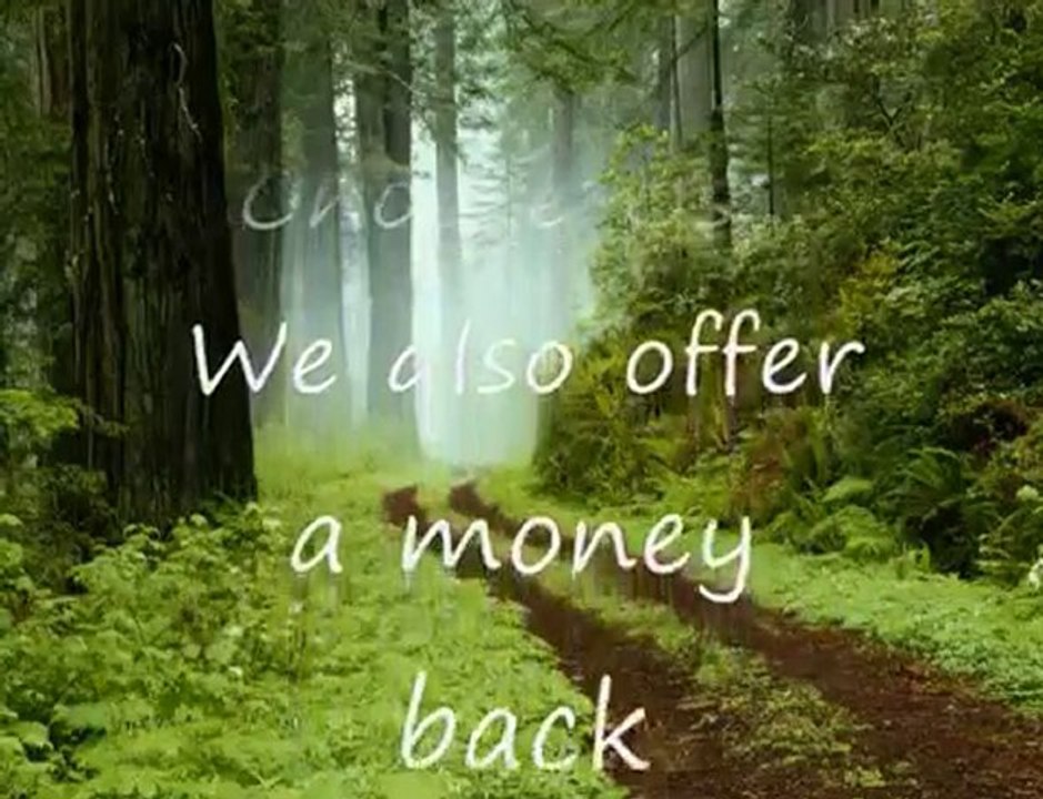 Gulf Bay Advertising Agency Inc In Wyoming Rhode Island