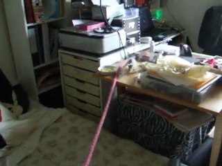 Blue et sa corde : cinquième leçon : avec les pates !