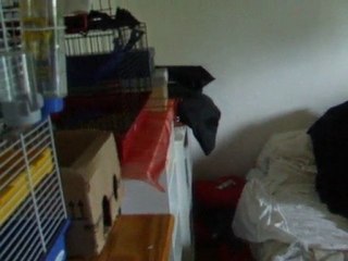 Blue et sa corde : sixième leçon !