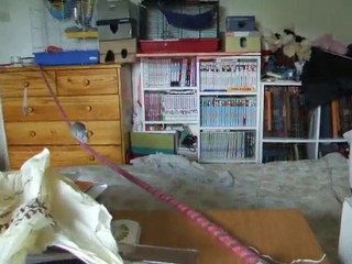 Blue et sa corde : allers-retours : mission accomplie !