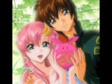 kira and  lacus une love story