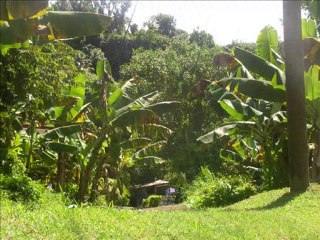 natural-sound system 77_0001