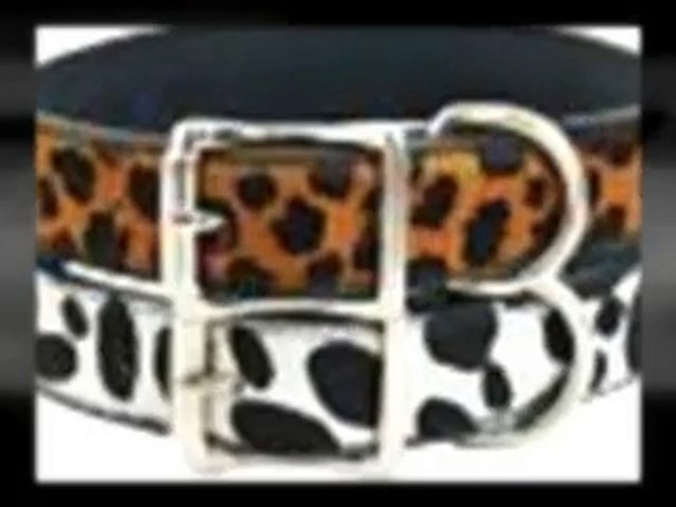 Custom Dog Tags, All Sizes, Types, Colors, Personalized ...