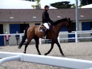 Détente Kevin Staut et Le Prestige St Lois