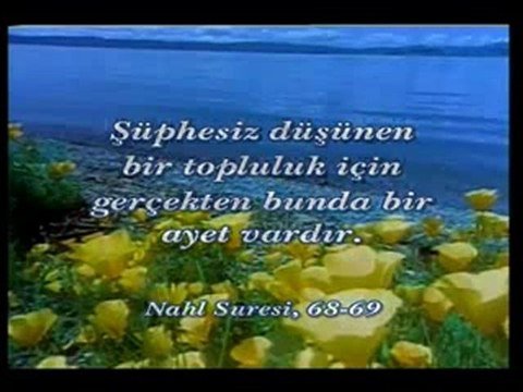 Kuran'da iman hakikatleri