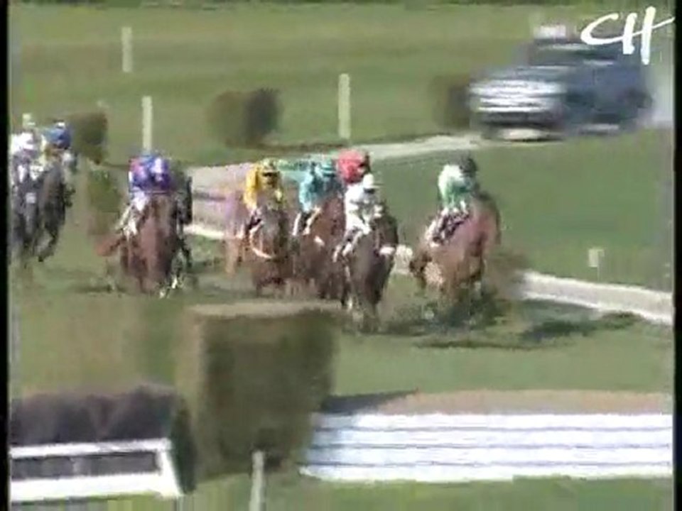 Sultan Cyborg - Méral -Steeple -  18/04/2010 G-G Vibert