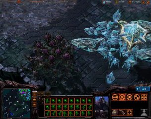 D and X TV : StarCraft II Bêta Gameplay (Partie 2)