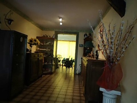 greg le castor pub les collants dim