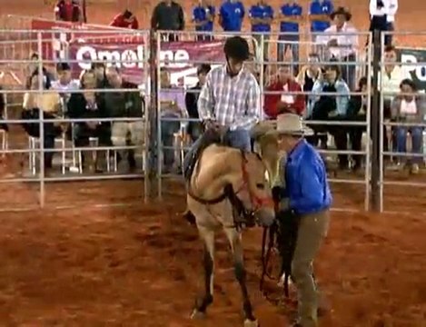 Monty Roberts, o encantador de cavalos (parte II)