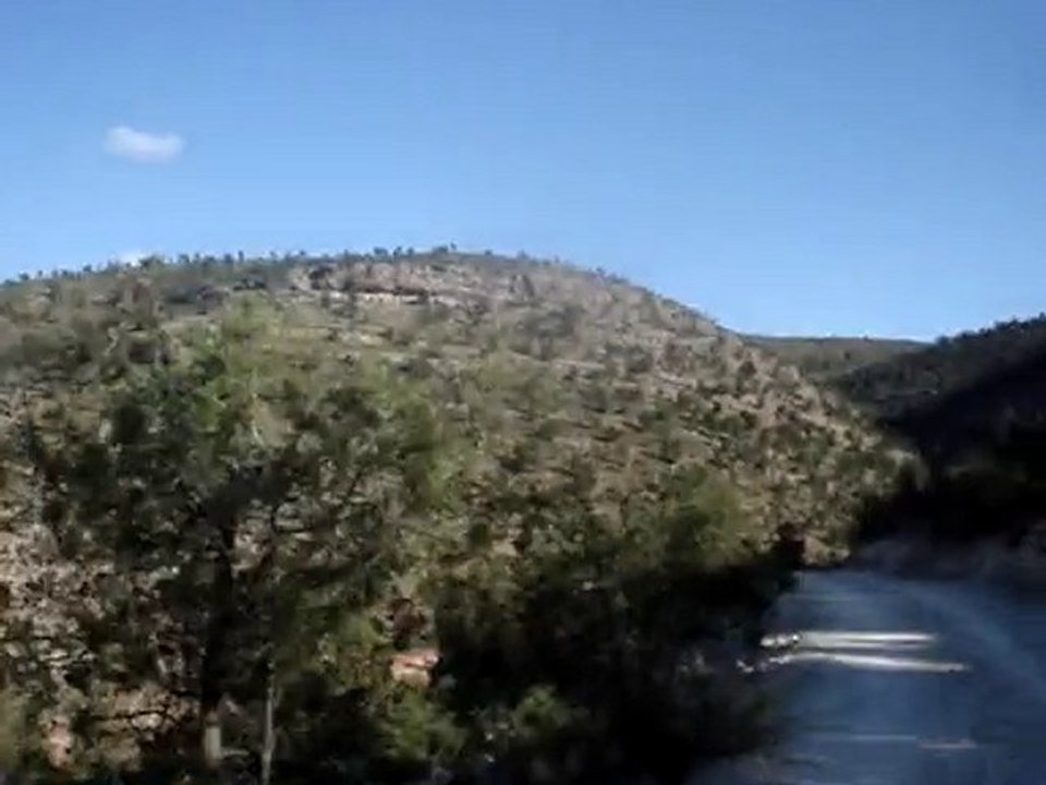 Ouled said