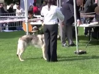 Expo Isle Adam(2)  16/05/2010