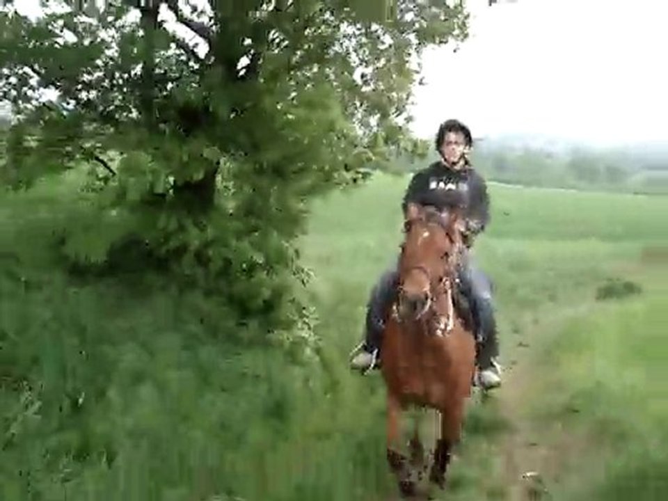 7mai galop2