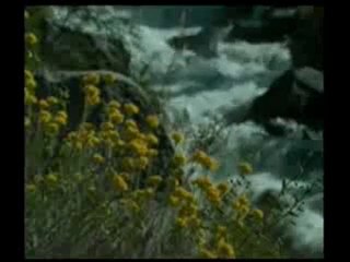 His ve vehim mertebesinde yaratılmış olan madde