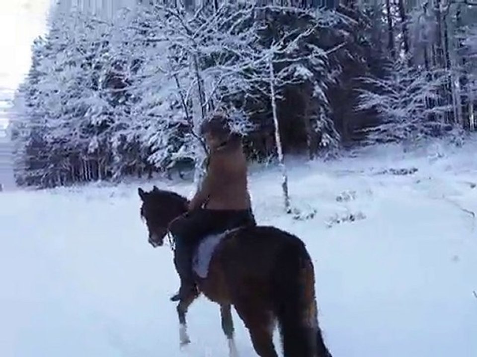 balade dans la neige