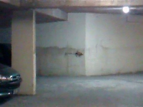 Mon HONEY BEE FP 2 EN SOUS SOL