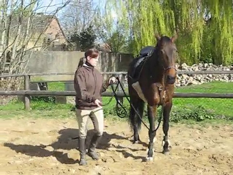 M + C Bodenarbeitvideo 2