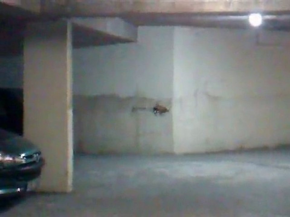 Petit vom tranquile en sous sol