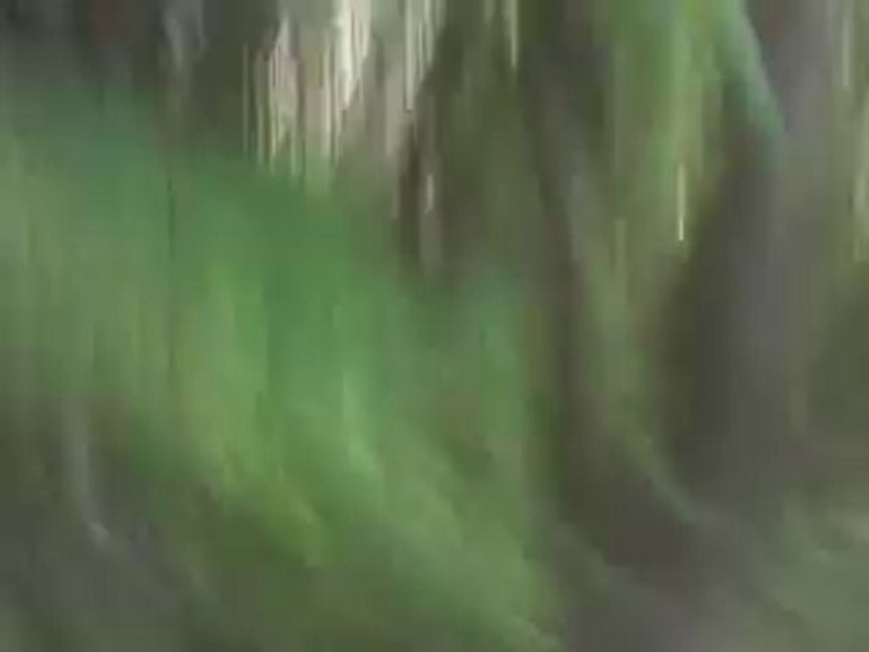 moi en partie d'airsoft
