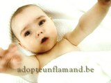 Adopte Un Flamand