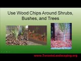 Toronto Landscaping: Landscaping Ideas