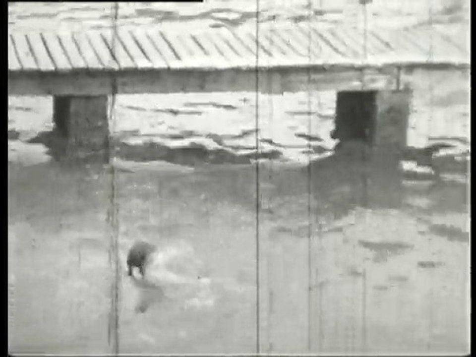 bob 02 seq 06-07 Brou Piscine