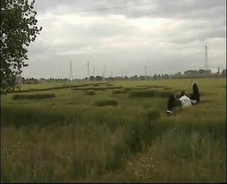 CROP CIRCLE,ITALY MAI2010