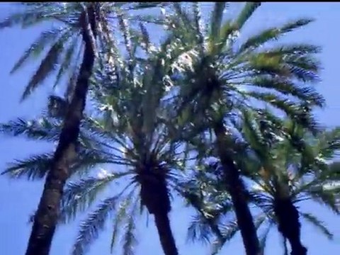 Cap Rallye : Rallye Maroc 2010 14 ( caprallye.com)