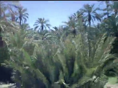 Cap Rallye : Rallye Maroc 2010 15 ( caprallye.com)